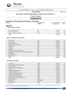 Fondo Mutuo HORIZONTE - Banchile Inversiones