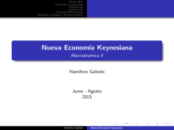 Nueva Economía Keynesiana - Macrodinámica II