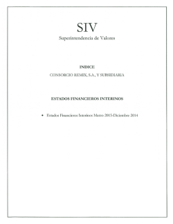 SIV - Consorcio Remix