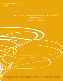 Documento línea base del Mosaico del Golfo de Morrosquillo