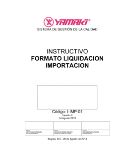 I-IMP-01 Liquidacion Importacion