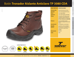 BOTIN Tronador Aislante Anticlavos TP 3080 CDA