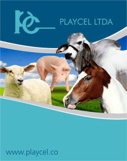 Nuestro Catálogo