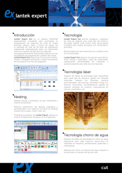 Introducción Nesting Tecnología Tecnología láser