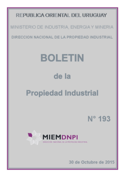 Boletín de la Propiedad Industrial N° 193