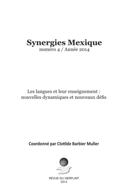 Synergies Mexique