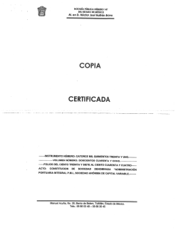 Estatutos Administración Portuaria Integral P.M.I. S.A. de C.V.