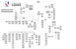 ORGANIGRAMA - Universidad del Istmo de Panamá