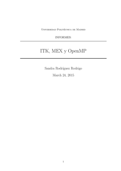 ITK, MEX y OpenMP - Universidad Politécnica de Madrid