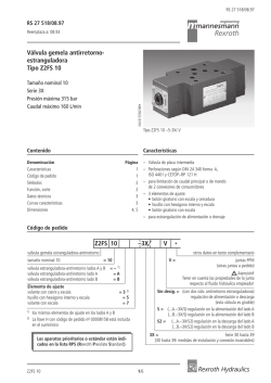 Rexroth Hydraulics Válvula gemela antirretorno