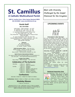 St. Camillus - Fata Online