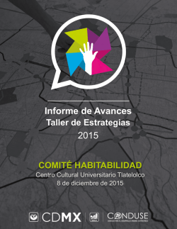 Informe de Avances 2015
