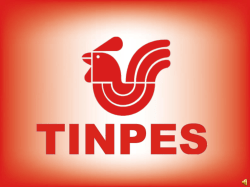 JeansWear - Tintas y pinturas especiales | TINPES SA