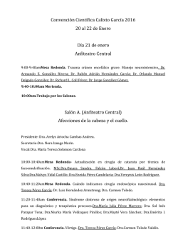 Versi&oacute;n corta del d&iacute;a 21 de enero. Descargar.