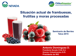 Situación actual de las frambuesas, frutillas y moras procesadas1