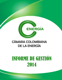 INFORME DE GESTIÓN 2014 - Cámara Colombiana de la Energía