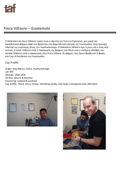 Finca Villaure – Guatemala