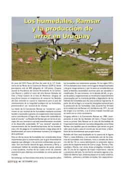 Los humedales - Ramsar y la produccion de arroz en Uruguay