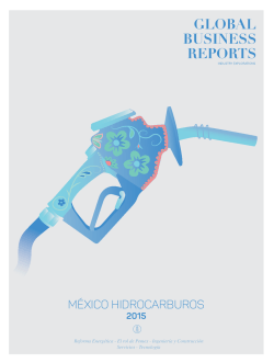 MÉXICO HIDROCARBUROS - Global Business Reports