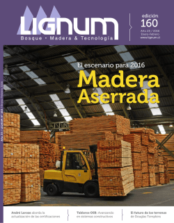 Versión PDF