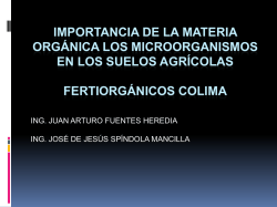 Descargar aqu&iacute;