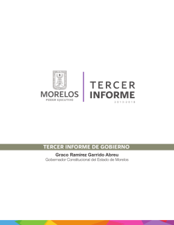 tercer informe - Subsecretaría de Ingresos