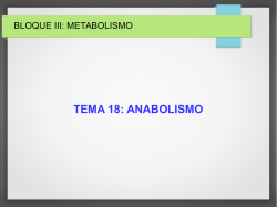 tema 18: anabolismo