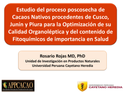 Estudio del proceso poscosecha de Cacaos Nativos