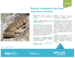 Ranita trepadora serrana - Ministerio de Medio Ambiente de la
