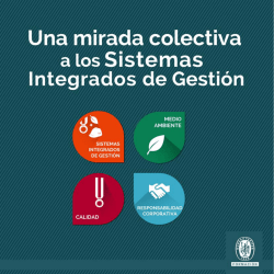 Descargar Aqu&iacute; - formaci&oacute;n de auditor interno