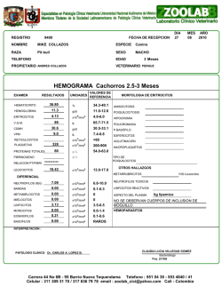 HEMOGRAMA Cachorros 2.5-3 Meses