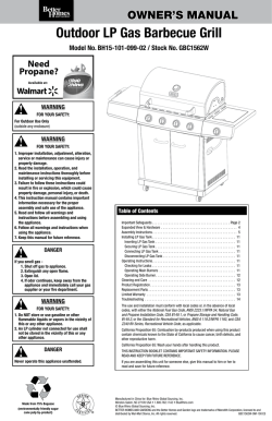 Outdoor LP Gas Barbecue Grill