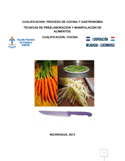 manual preelaboracion19junio