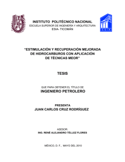 TESIS INGENIERO PETROLERO - Instituto Politécnico Nacional