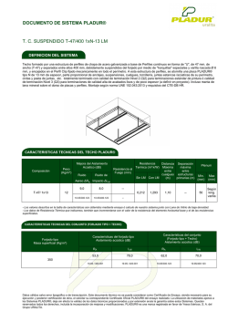 DOCUMENTO DE SISTEMA PLADUR&reg; TC SUSPENDIDO T