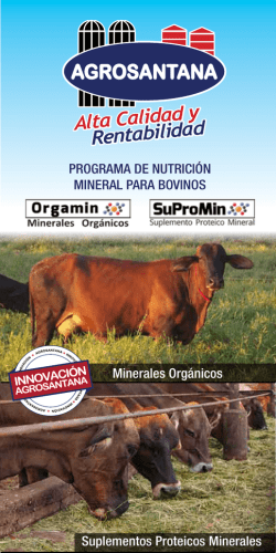folleto programa nutrición bovinos