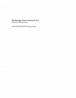 Estados financieros Bioenergy Zona Franca