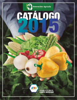 Descargar Cat&aacute;logo Completo