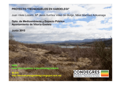 ID 25 Poyecto “TECNOSUELOS EN GARDELEGI”.