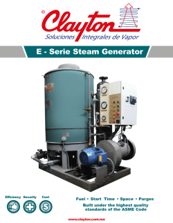 E Series Steam Generator