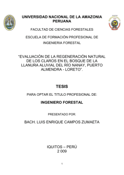 TESIS FINAL - Universidad Nacional de la Amazonía Peruana