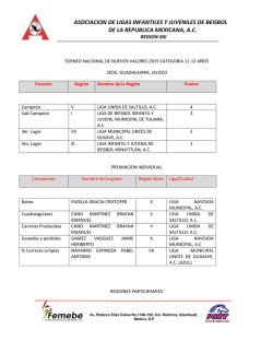 Infantil Mayor 11 - 12 años - asociacion de beisbol infantil y juvenil