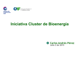 bioenergía - Red Cluster Colombia