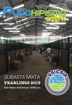 SUBASTA MIXTA