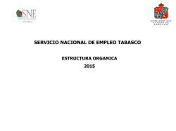 Estructura Org&aacute;nica