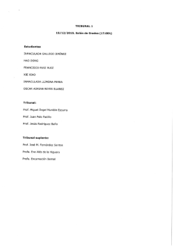 INMACULADA GALLEGO JIMENEZ HAO DONG