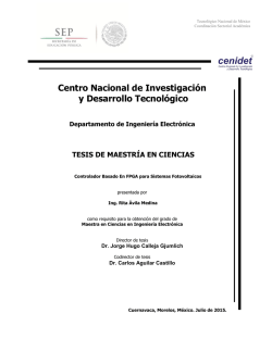 Informe Final_CFE_Bajío