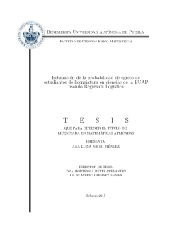 T E S I S - FCFM - Benem&eacute;rita Universidad Aut&oacute;noma de Puebla