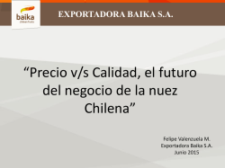 Precio v/s calidad, el futuro del negocio de la nuez chilena.