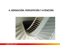 percepcion-sensacion_psico